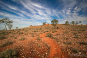 A_Drane_BushMedia_profileID-0010_Bourke_4_2016_img_7557