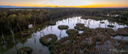 A_Drane_BushMedia_profileID-0015_DJI_0038-Pano