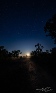 A_Drane_BushMedia_profileID-0018_BMDL2081-Enhanced-NR