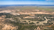 A_Drane_BushMedia_profileID-0019_DJI_0363