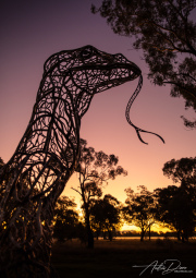 A_Drane_BushMedia_profileID-0024_1W2A0588