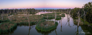 A_Drane_BushMedia_profileID-0025_DJI_0024-Pano