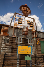 A_Drane_BushMedia_profileID-0035_BMDL4718