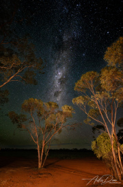 A_Drane_BushMedia_profileID-0051_20240212-BMDL5577-Enhanced-NR