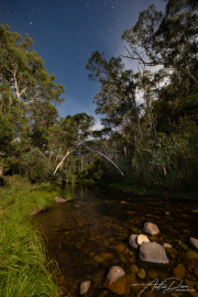 A_Drane_BushMedia_profileID-0056_BMDL5752