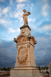 A_Drane_BushMedia_profileID-0061_BMDL5926