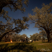 A_Drane_BushMedia_profileID-0063_BMDL6146