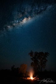 A_Drane_BushMedia_profileID-0069_20240704-BMDL6359-Edit-3