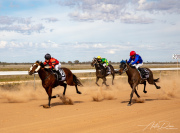 A_Drane_BushMedia_profileID-0076_BMDL6796