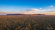 A_Drane_BushMedia_profileID-0110_DJI_0183