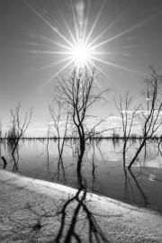 A_Drane_BushMedia_profileID-0125__L2A7514