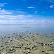 A_Drane_BushMedia_profileID-0131_DJI_0169