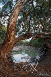 A_Drane_BushMedia_profileID-0135__L2A7973