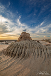 A_Drane_BushMedia_profileID-0137_BMDL9830