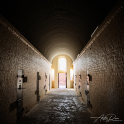 A_Drane_BushMedia_profileID-0143__L2A8803