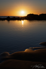 A_Drane_BushMedia_profileID-0146__L2A9206