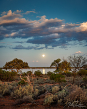 A_Drane_BushMedia_profileID-0147_20250513-_L2A0102-Enhanced-NR-2