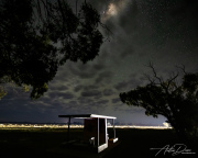 A_Drane_BushMedia_profileID-0153_BMDL9939