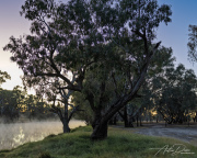 A_Drane_BushMedia_profileID-0157__L2A0963