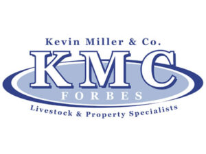 Kevin Miller & Co